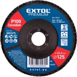 lamellás csiszoló acél, Alu, műa. és fa munkadarabok csiszolására, 125×22mm; P100, kúpos,max.:12.300 ford./perc, EN13743