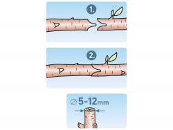 oltó olló; 215mm, 5-12 mm ágakhoz, SK5 acél vágóél